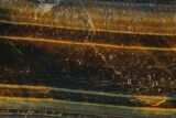 Polished Blue & Orange Tiger's Eye Slab - South Africa #320050-1